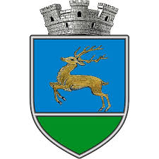 Maybe you would like to learn more about one of these? Consiliul JudeÈean Suceava Home Facebook