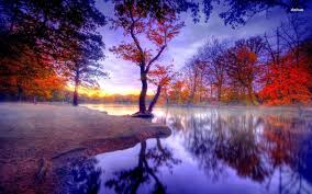Riverside Park Hd Wallpaper Garden Pictures Forest Wallpaper Beautiful Pictures