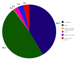 This Pie Graph Represents The Demographics Of St Louis City