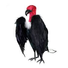 BirdBusters Dead Vulture Effigy 18 Tall, Deters Turkey VulturesBuzzards  from Roofs, Trees and Cell Towers : Amazon.ca: Sports & Outdoors