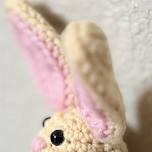Amigurumi Adventures