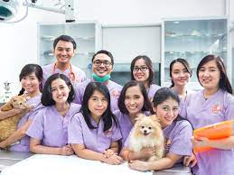 We did not find results for: Best English Speaking Vet Clinics In Jakarta Flokq Coliving Jakarta Blog