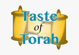 There is no ads etc. Background Torah Transparent Hd Png Download Kindpng