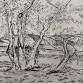 Four Day Class - Intro to Intaglio (NPS) event image