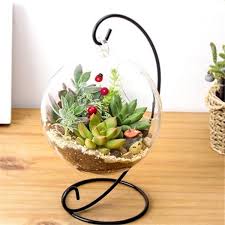 Wish Freude Am Einkaufen Round Glass Vase Hanging Glass Vase Hanging Terrarium