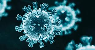 Coronavirus Disease 2019 | Baystate Health | Springfield, MA