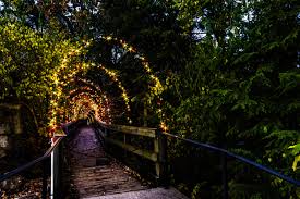 Journey Through The Magicforest Now Through December 31st And The Enchanted Garden Of Lights Seerockcity Garden Of Lights Enchanted Garden Lights
