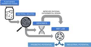 Maybe you would like to learn more about one of these? Applications Of Plant Based Fermented Foods And Their Microbes Sciencedirect