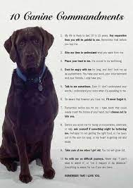 oh i love my pupper roo dog love baby dogs dogs
