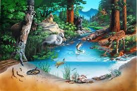 This is the currently selected item. Tipos De Ecosistemas Revista Ambiente