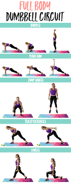 Dumbbell Workout For Women The Best Full Body Dumbbell Circuit Full Body Dumbbell Workout Dumbell Workout Dumbbell Workout