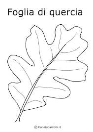 Disegni Di Frutta E Foglie Autunnali Da Colorare Foglie Autunnali Foglie Disegni Di Frutta