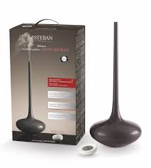 Does esteban fr offer holiday discount codes? Ultraschalldiffuser Esteban Grand Art Grau Aromapunkt