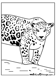 You'll also like these coloring pages of the gallery black panther. Kxhrq75hhopjfm