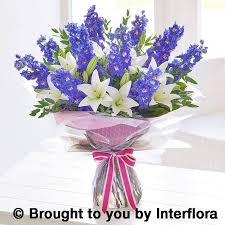 Jane Maples Flowers added a new photo.