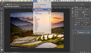 Alternatively, you can duplicate the background layer, make your edits in … How To Install Camera Raw Presets Photoshop Cs6