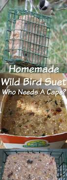 Often we mix in bacon fat, bread crumbs, red river cereal, or whatever we have on hand. Homemade Wild Bird Suet Who Needs A Cape