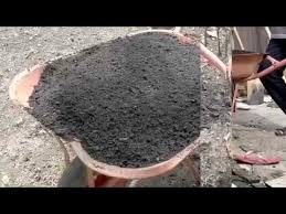 Kita dapat mengenali tumbuhan ini dari ciri, karakteristik dan bentuknya. Cara Mengambil Tanah Subur Dan Baik Sebagai Media Tanam Dari Tempat Pembakaran Sampah Youtube