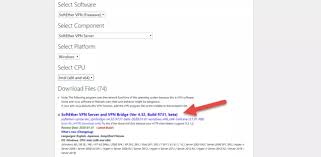Image result for softether vpn server GUI