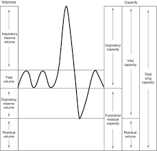 Image result for Functional Residual Capacity