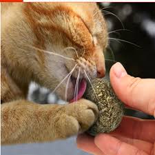 Kedi Dogal Catnipli Oyuncaklar Kedi Kedi Icin Agiz Kokusu Giderici