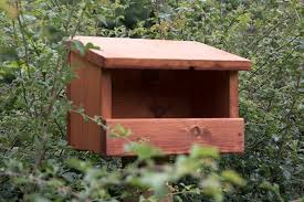 Image result for Flyte Blackbird Nest Box