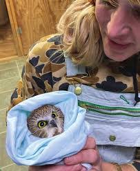 Diana Cosner's Instagram, Twitter & Facebook