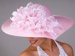 Pin By Judy Kelly On My Style Wedding Hats Pink Hat Fancy Hats