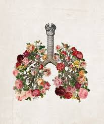 Immagini buongiorno foto belle da scaricare gratis. Disegni Fiori Tumblr Mazzo Di Fiori Tumblr Progetti Di Arte Della Disegni A Mano Clockenstock