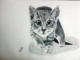 Ver más ideas sobre dibujos, para calcar, dibujos para colorear. Como Dibujar Un Gato En Blanco Y Negro