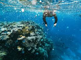 Where to go for a swim in key west? Key West Beaches You Can T Miss Key West Vacation Homes