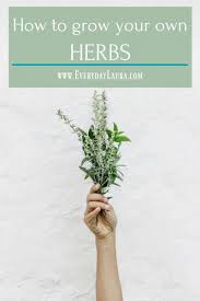 How To Grow Your Own Herbs Garden Herbs Grow Freshherbs Diy Plants Herbs Grow Your Own Planting Flowers