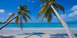 We did not find results for: Dominican Republic Hotels Lopesan Hotel Group