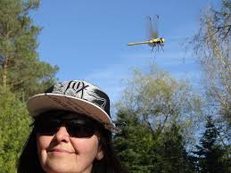 Trainer Herrick and resilient horse follow music back from the flames