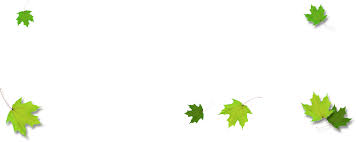 Find & download free graphic resources for leaves border. Download Leaves Border Png Border Green Transparent Leaf Full Size Png Image Pngkit