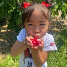 Wishing you a very MERRY CHRISTMAS from the LUU FAMILY ❤️