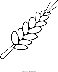 Los cactus son plantas muy peculiares, su diseño, formas y desarrollo evolutivo se basan en la optimización al máximo del agua y la humedad en su hábitat natural ya que es muy escasa. And Wheat Coloring Page Trigo Animado Para Colorear Clipart Full Size Clipart 556514 Pinclipart