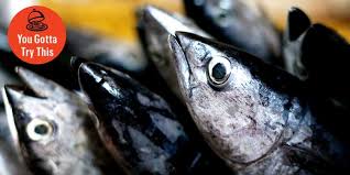One side claims that anything form the sea is halal, be it fish (including carnivore fish like sharks), shell fish, octopus, quid, crab, shrimp etc. Why You Should Always Eat The Fish Eyes Is It Okay To Eat Eyes