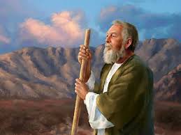 Image result for images Exodus 33:15 moses