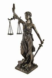 Image result for Justicia incana