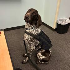 For those of you curious about the smoke in the area, we have been told  that it is coming from the Bell County area, where there is currently an  active fire.