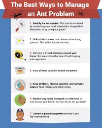 Maybe you would like to learn more about one of these? How To Get Rid Of Ants Fix Com