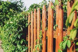 We did not find results for: 30 Diy Cheap Fence Ideas For Your Garden Privacy Or Perimeter