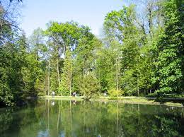 Check spelling or type a new query. Pokok Definition And Synonyms Of Pokok In The Malay Dictionary