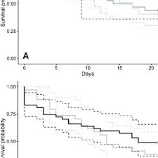Her finner du alle saker som omhandler line andersen. Pdf Barn Swallow Hirundo Rustica Fledglings Use Crop Habitat More Frequently In Relation To Its Availability Than Pasture And Other Habitat Types
