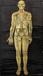 We did not find results for: Prints Old Rare Medical Surgical And Anatomy Antique Maps Prints