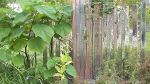 Schmale Garten Gestalten Ideen Und Grundsatzliches