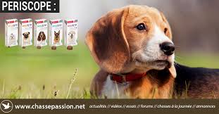 Le cycle de vie des tiques. Bravecto Un Danger Pour Votre Chien Chasse Passion