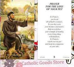 How to prepare for losing your pet? St Francis Of Assisi Prayer For The Loss Of Your Pet Paperstock Holy Card Ebay