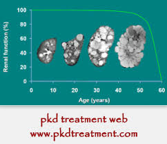 Polycystic Kidney Disease Is One Of The Most Common Genetic Kidney Disorders Many Chronic Kidn Polycystic Kidney Disease Kidney Disease Chronic Kidney Disease